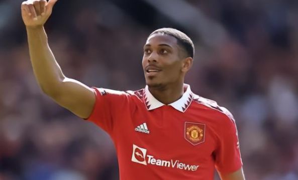 益于国内体 益于国内体