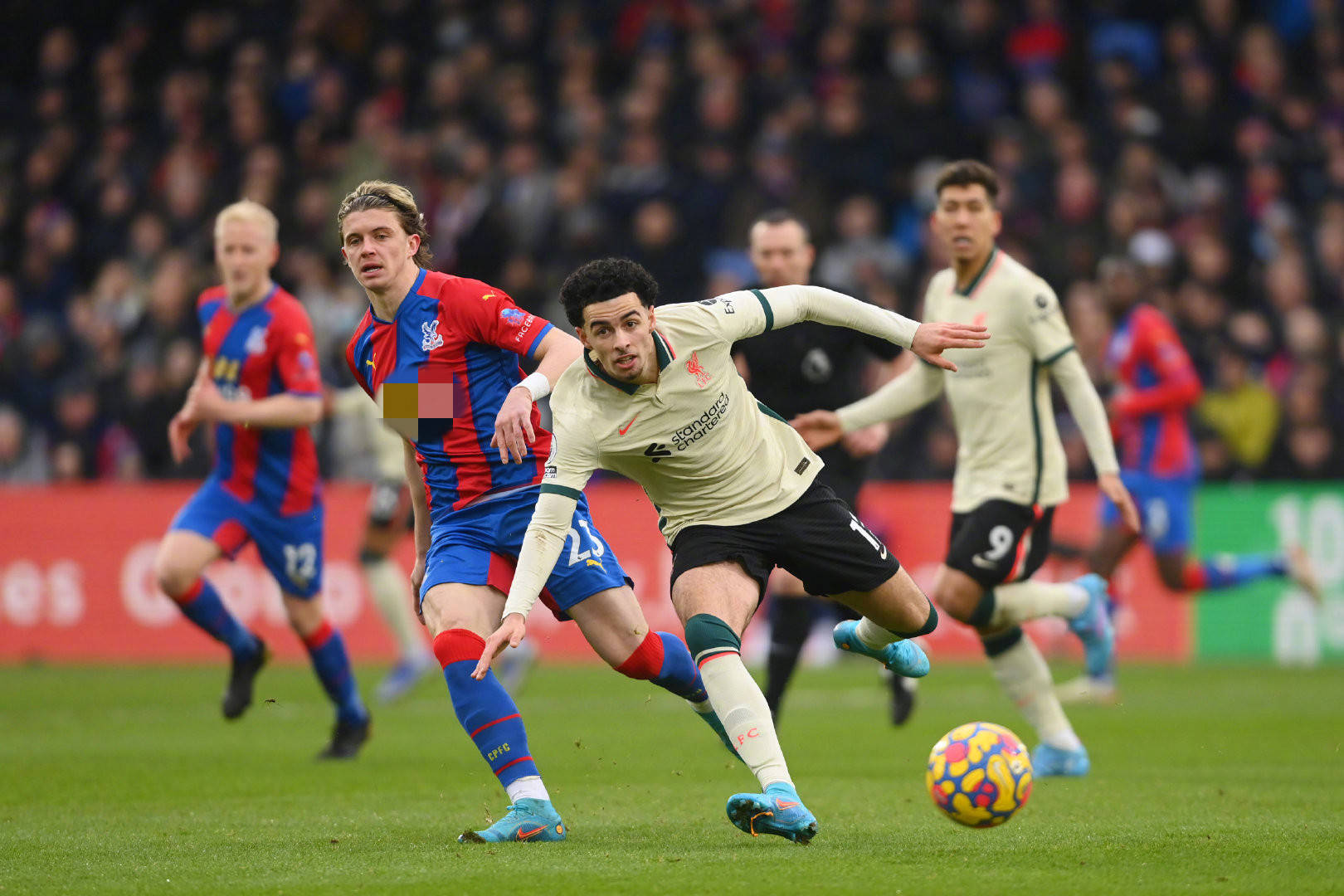 这种蓬勃发 这种蓬勃发